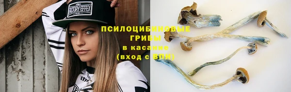 мяу мяу мука Навашино