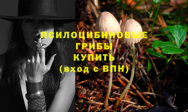 мяу мяу мука Навашино