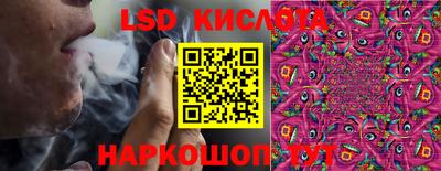 гашик Жуковский