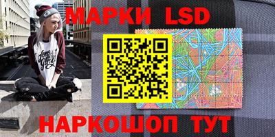 гашик Берёзовский