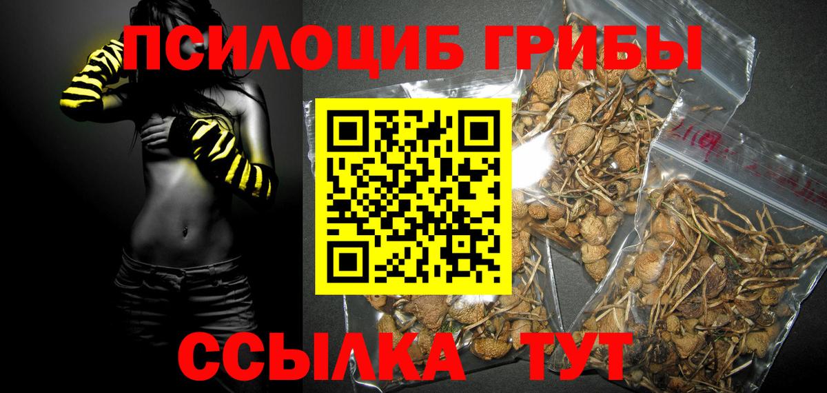 Псилоцибиновые грибы Psilocybine cubensis  Вход с VPN  Псилоцибиновые грибы мухоморы  Надым 