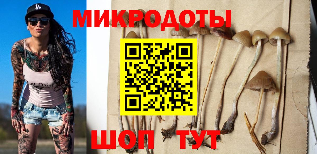 Галлюциногенные грибы Cubensis Надым